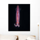 Squid Deepwater Night Dive Wall Decal Design 1