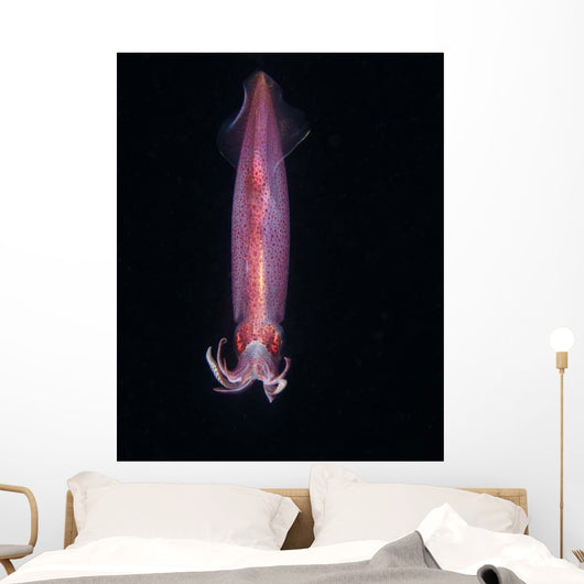 Squid Deepwater Night Dive Wall Decal Design 1