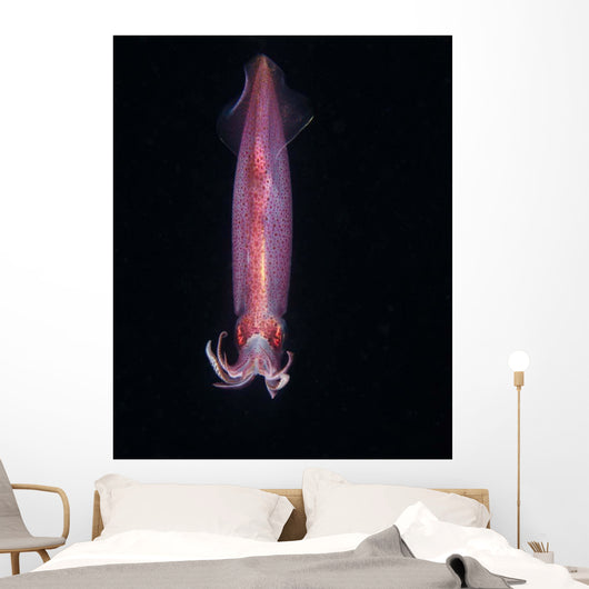 Squid Deepwater Night Dive Wall Decal Design 1