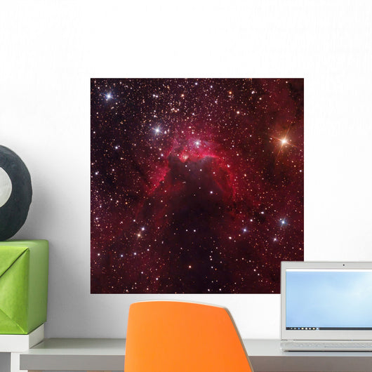 Cave Nebula Located Constellation Wall Decal