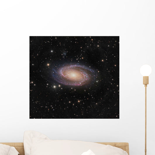 Messier 81 Spiral Galaxy Wall Decal