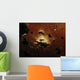 Nebula Evaporates Far Distance Wall Decal