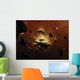 Nebula Evaporates Far Distance Wall Decal