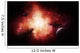 Birth Numerous Stars Exposing Wall Decal