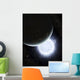 Tiny Moon Rakka Ume Wall Decal