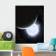 Tiny Moon Rakka Ume Wall Decal