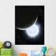 Tiny Moon Rakka Ume Wall Decal