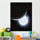 Tiny Moon Rakka Ume Wall Decal