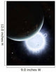 Tiny Moon Rakka Ume Wall Decal