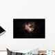 Emission Nebula Is Viewed Wall Decal