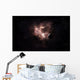 Emission Nebula Is Viewed Wall Decal