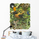 Endangered Rainforest Wall Decal