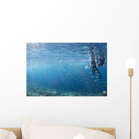 Scuba Divers Reef Komodo Wall Decal