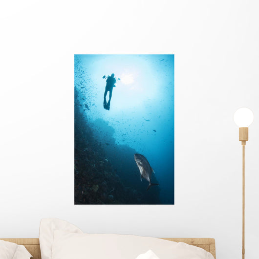 Diver and Trevally Komodo Wall Decal