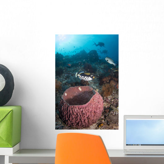 Clown Triggerfish near Spawning Wall Decal