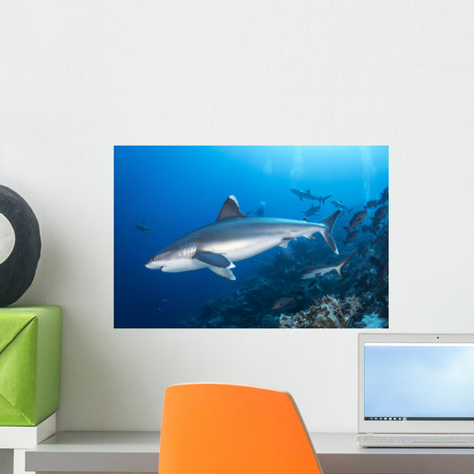 Silvertip Shark outside Barrier Wall Decal