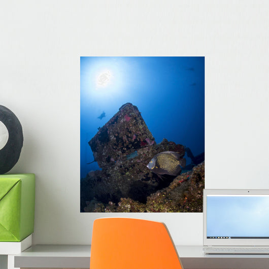 French Angelfish El Aguila Wall Decal