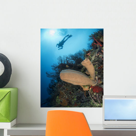 Diver with Sponge Reef Wall Decal