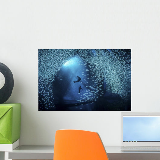 Sea Lions Play among Wall Decal