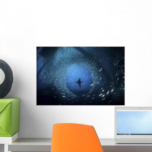 Sea Lion Hunts for Wall Decal