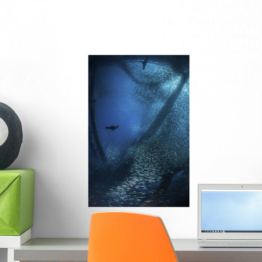 Sea Lions Hunt Large Wall Decal
