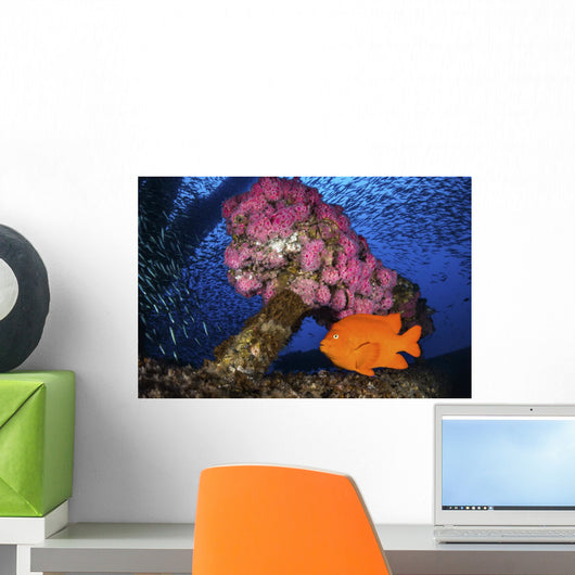 Anemone's Decorate Structure Oil Wall Decal