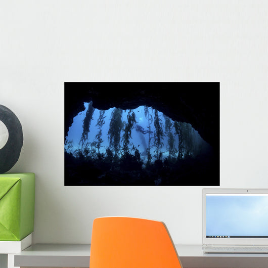 Diver Swims Mouth Cave Wall Decal