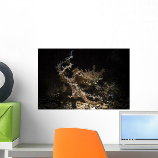Blue Ring Octopus Hunting Wall Decal