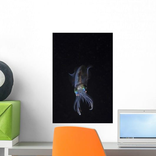 Reef Squid Hovers Vertical Wall Decal