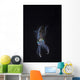 Reef Squid Hovers Vertical Wall Decal