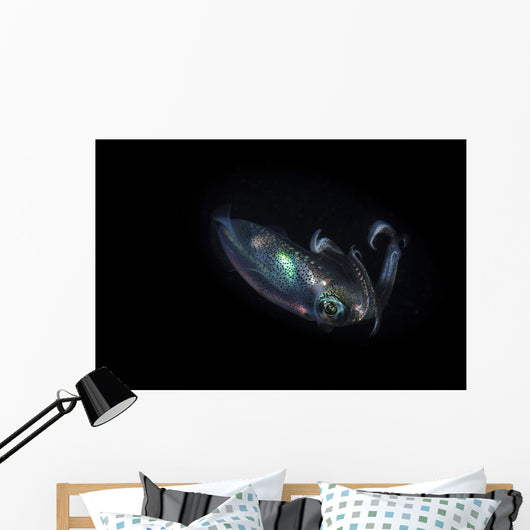 Reef Squid Hovers Wall Decal