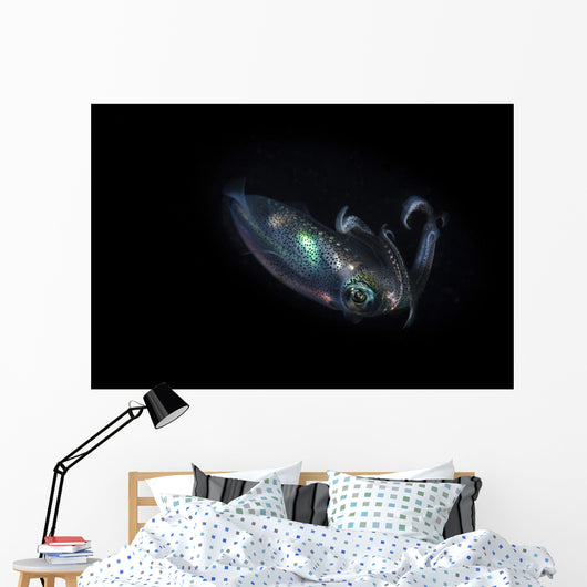 Reef Squid Hovers Wall Decal