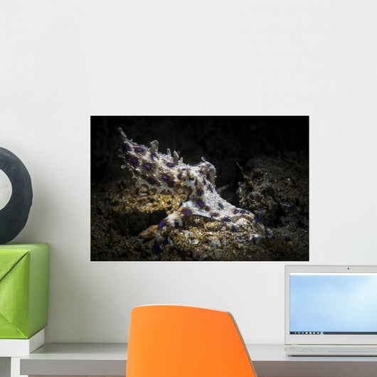 Blue-ringed Octopus Searching for Wall Decal
