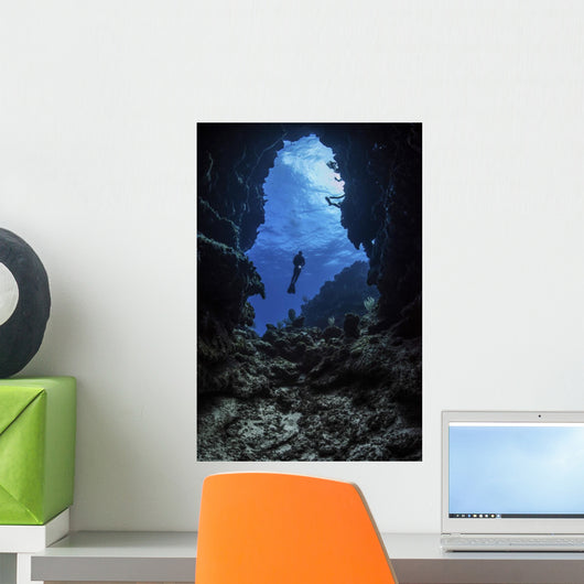 Diver Stops Entrance to Wall Decal