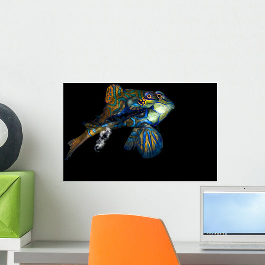 Mating Mandarinfish with Eggs Wall Decal