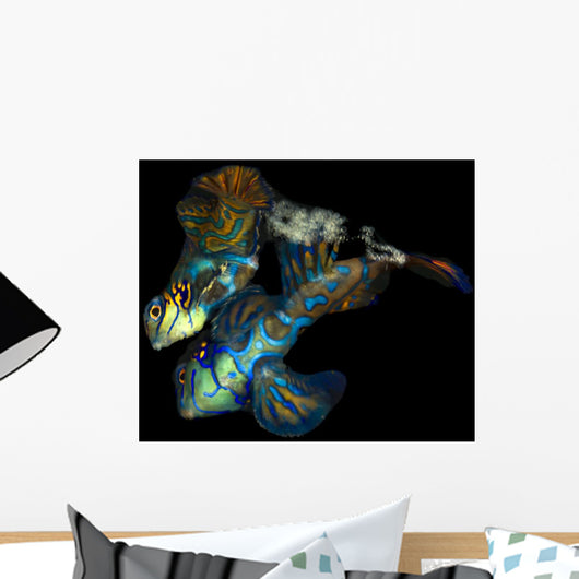 Pair Mandarinfish Synchiropus Splendidus Wall Decal