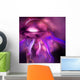 Blushing Nebula Wall Decal