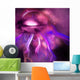 Blushing Nebula Wall Decal