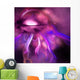 Blushing Nebula Wall Decal