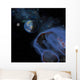 Several Asteroids Hurtle towards Wall Decal