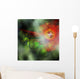 Star Having Mass More Wall Decal