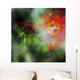 Star Having Mass More Wall Decal