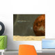 Starship Visits Asteroid near Wall Decal