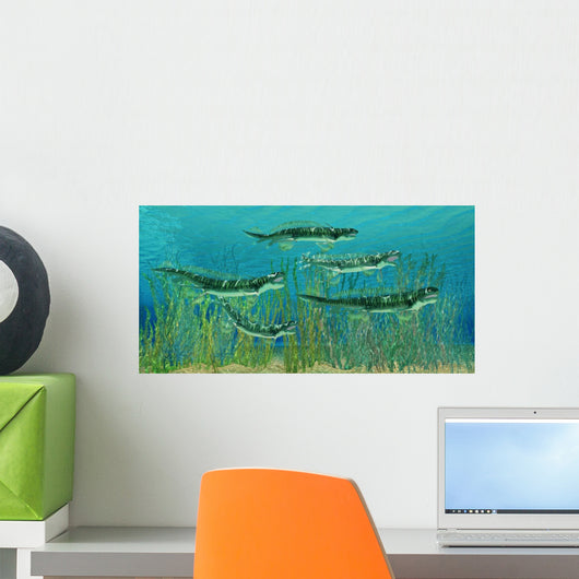 Orthacanthus Was Freshwater Shark Wall Decal
