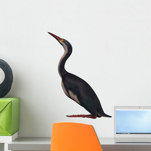Hesperornis Is Flightless Bird Wall Decal