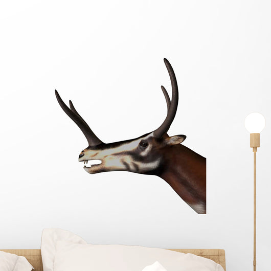 Kyptoceras Portrait White Wall Decal