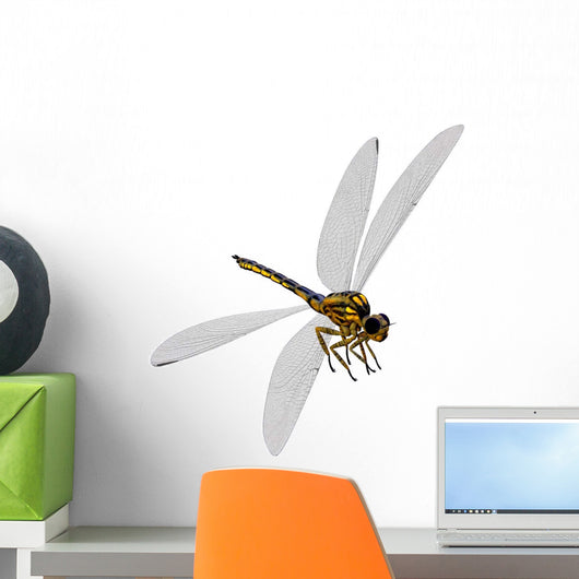 Meganeura Insect from Carboniferous Wall Decal Design 2