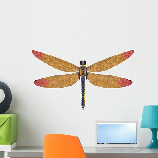 Large Meganeura Dragonfly from Wall Decal