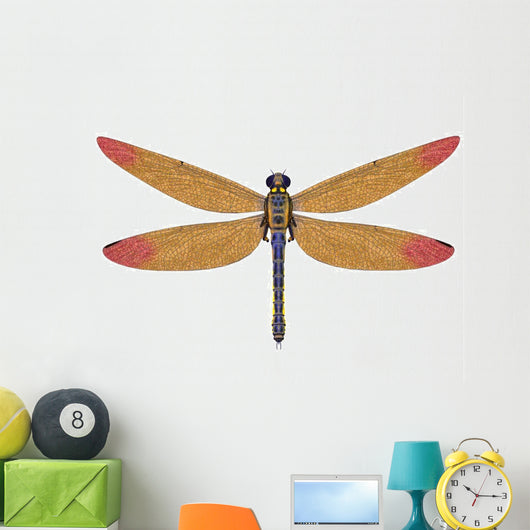 Large Meganeura Dragonfly from Wall Decal