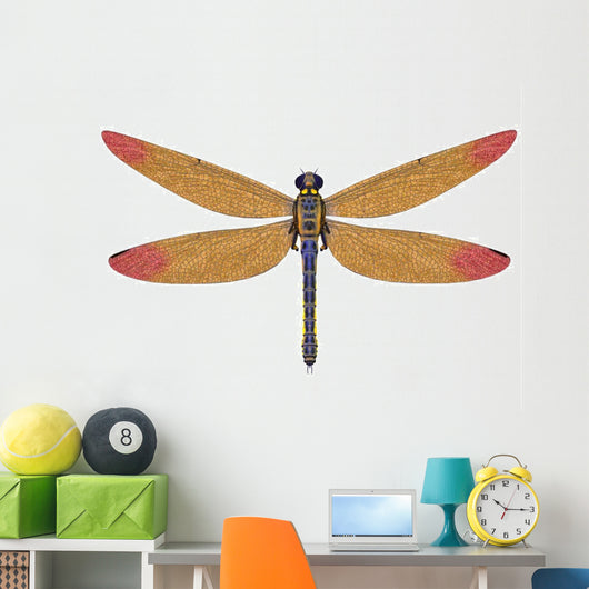Large Meganeura Dragonfly from Wall Decal